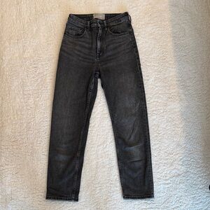 Everlane The High Rise Straight Jean - Size 25 Ankle